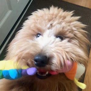 Meet your Posher, Kalyani